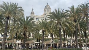 Alicante palmbomen